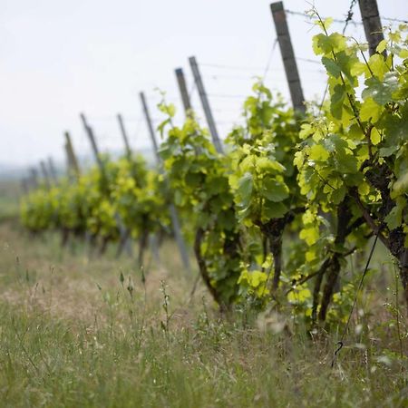 Weingut Schilling Hotel Seinsheim Exterior foto