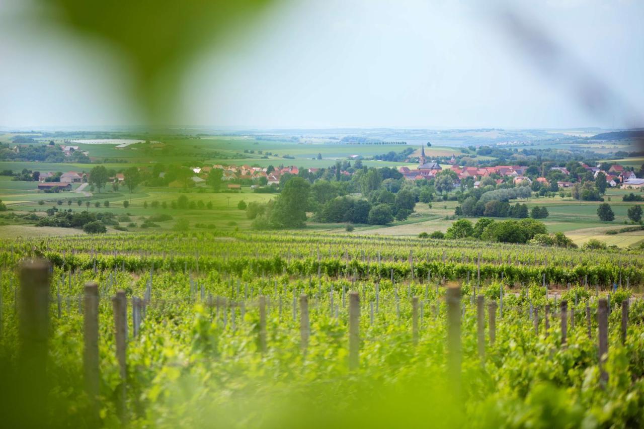 Weingut Schilling Hotel Seinsheim Exterior foto